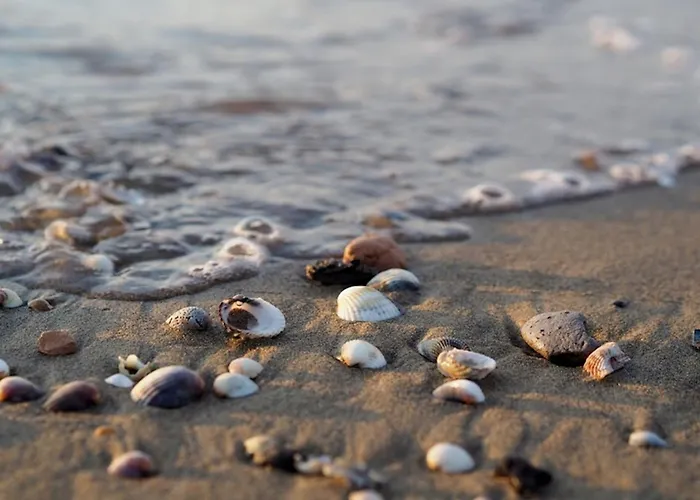 Welcoming Flat Just Steps From The Sea Bibione